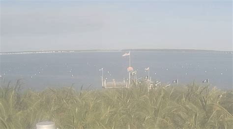 seacrets live cam|Bayside view from Seacrets Webcam